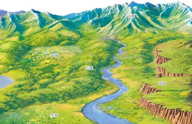 中國森林面積達(dá)220萬平方千米占其國土面積的百分之多少，第九次森林普查我國森林面積居世界第幾位？圖4