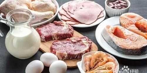 吃什么食物補充蛋白質(zhì)