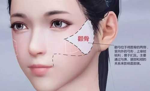 顴骨在哪里