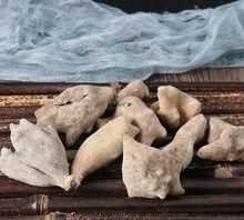 五貝子對(duì)人體有哪些壞處