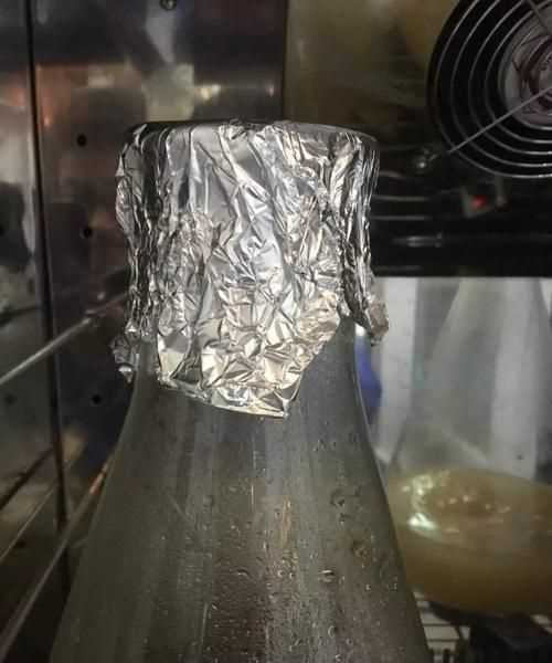 養(yǎng)樂多怎么喝效果好