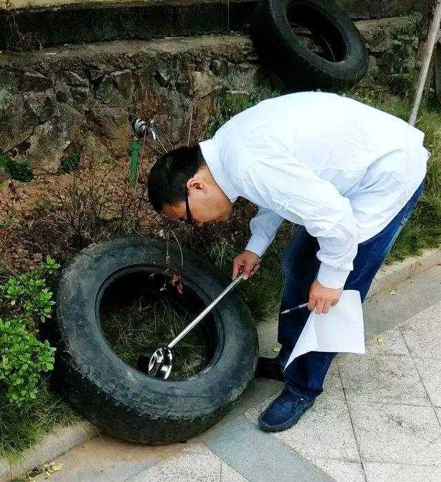 花蚊子怎么消滅掉（必須學會四招輕松滅絕花蚊子）