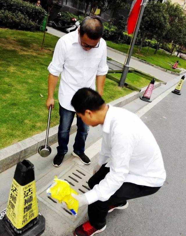 花蚊子怎么消滅掉（必須學會四招輕松滅絕花蚊子）