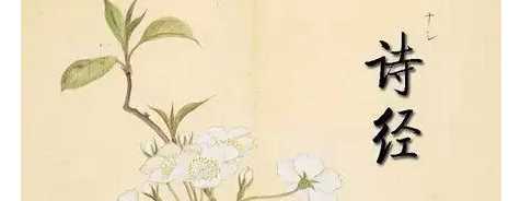 詩(shī)經(jīng)共有多少篇,詩(shī)經(jīng)共多少篇 詩(shī)經(jīng)一共有多少篇內(nèi)容圖3