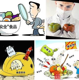 不吃變質(zhì)食物安全小知識