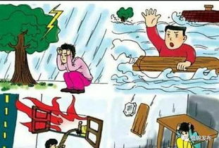 預(yù)防雷擊安全知識(shí)版本