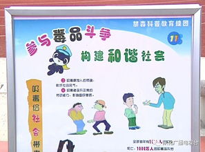 禁毒知識(shí)安全