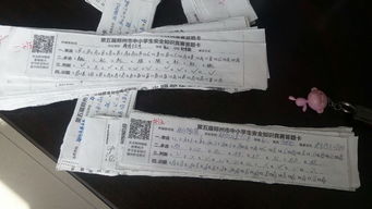 山西省第五屆中小學安全知識競賽