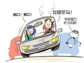 行車(chē)安全檢查知識