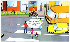 打扮交通安全教育知識(shí)