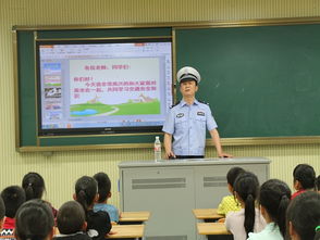 安全交通知識體會(huì )200字