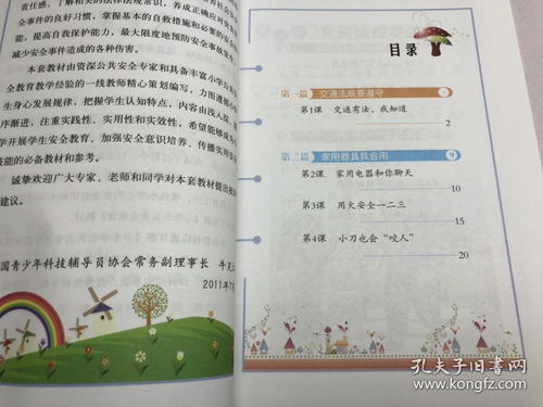 校園安全消防知識(shí)作文二級