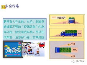 交通安全知識培訓感受