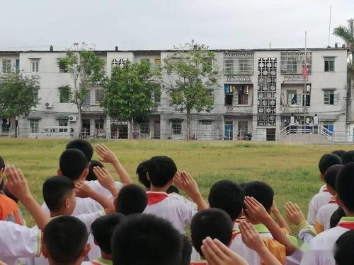溺水安全知識國旗下講話