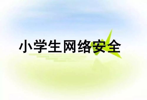 小學(xué)生網(wǎng)絡(luò)安全知識(shí)作業(yè)