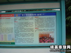 校園安全教育知識小結(jié)