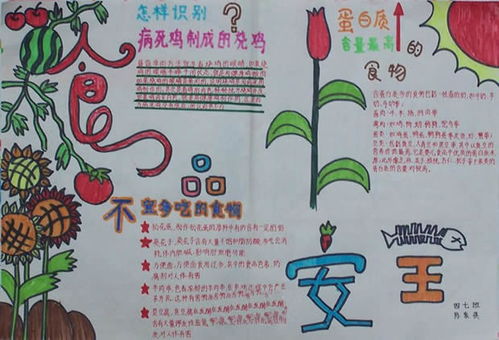 食品安全問(wèn)題知識(shí)手抄報(bào)內(nèi)容
