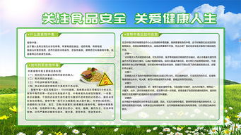食品安全知識(shí)宣傳工作的方案