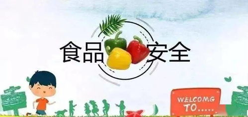 小學(xué)生食品安全和營(yíng)養(yǎng)知識(shí)網(wǎng)上竟賽