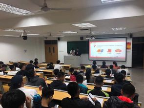 體育安全知識主題班會教案