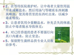 小學(xué)生預(yù)防野生菌中毒安全知識