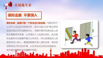 安全知識(shí)競賽心得體會(huì)ppt