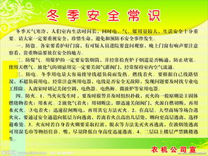 冬季安全知識(shí)500字作文
