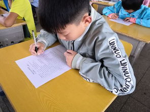 網(wǎng)絡(luò)安全小學(xué)知識(shí)問答