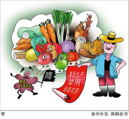 紅蟻蟲的安全知識(shí)