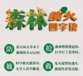 農村清明節(jié)森林防火安全知識