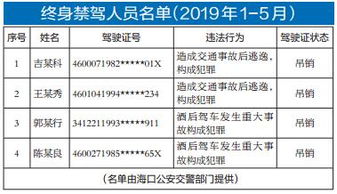 機關單位道路交通安全知識