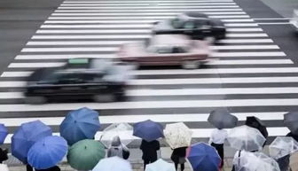教練員的雨季安全行車知識