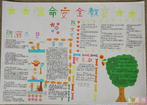 安全教育知識的手抄報內(nèi)容摘要