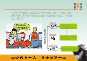 保護(hù)耳朵教案公共安全知識(shí)