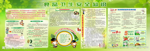 小學(xué)校食品安全教育知識