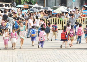 上學(xué)和放學(xué)路上安全教育知識(shí)