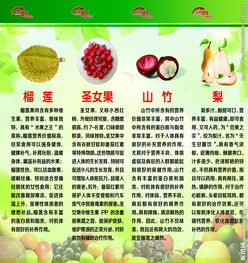 食品與安全知識競賽總結語