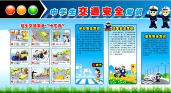 中學(xué)安全交通安全知識