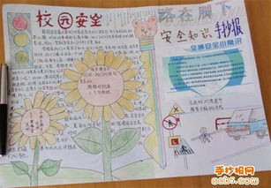 動物實驗室安全知識板報設計圖