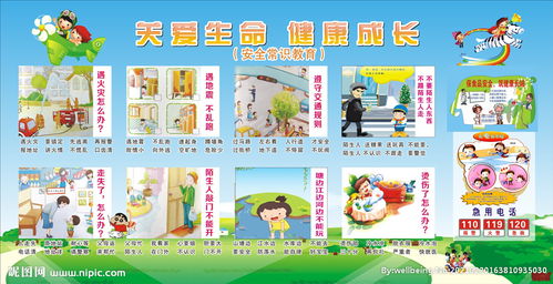 中班剛入園安全知識