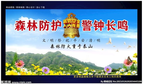 小學(xué)生清明森林防火安全知識(shí)總結(jié)