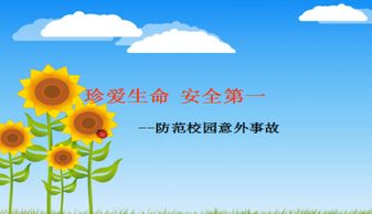 安全知識(shí)說(shuō)課ppt