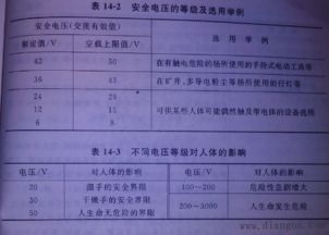 安全用電基礎(chǔ)知識題人教版