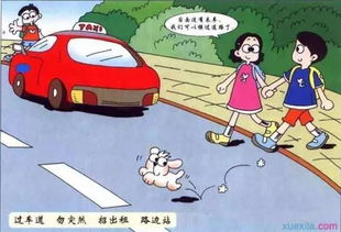 交通安全騎車安全知識