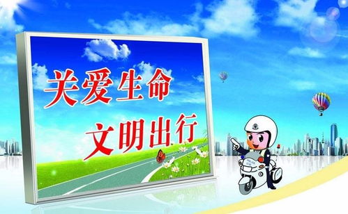 交通安全監(jiān)管專業(yè)知識