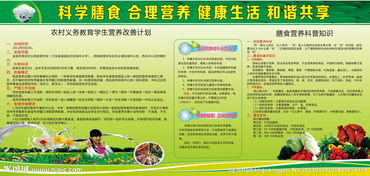 學生營養(yǎng)餐安全知識培訓資料