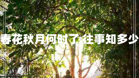 春花秋月何時(shí)了 往事知多少