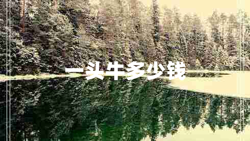 一頭牛多少錢