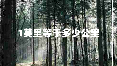 1英里等于多少公里