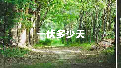 一伏多少天